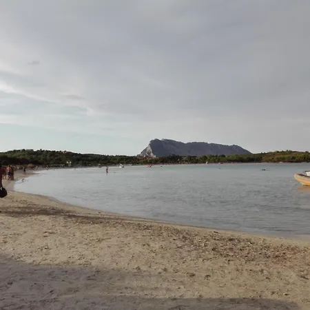 Narcissia By Ddv Tourist * Olbia