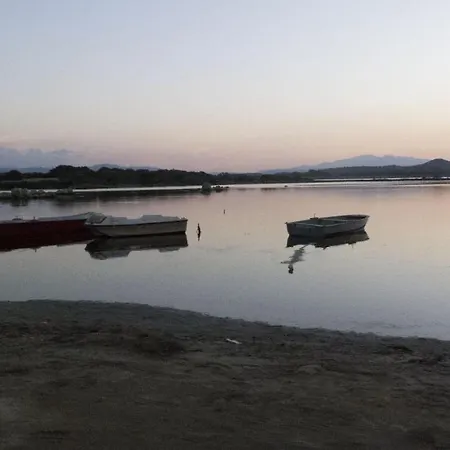 Narcissia By Ddv Tourist * Olbia